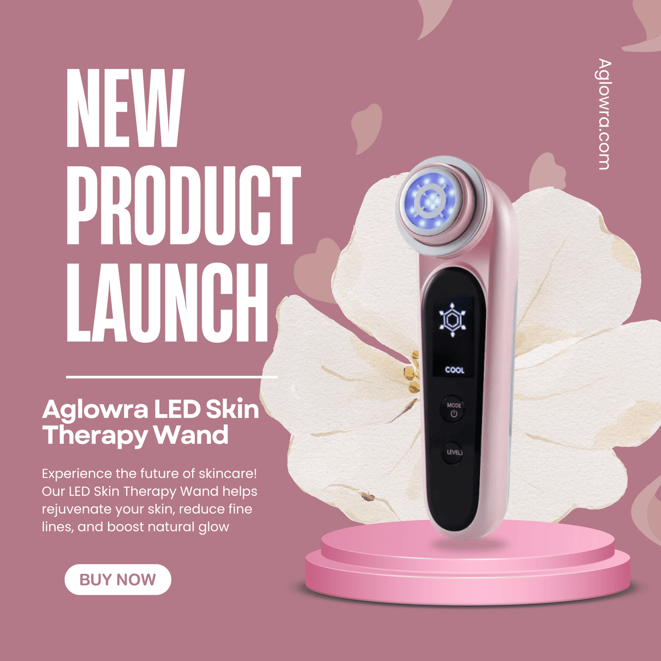 EMS Microcurrent Skincare Device